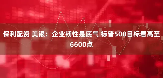 保利配资 美银：企业韧性是底气 标普500目标看高至6600点